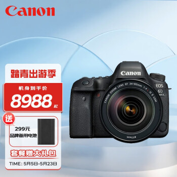 佳能（Canon） EOS 4000D数字照相机